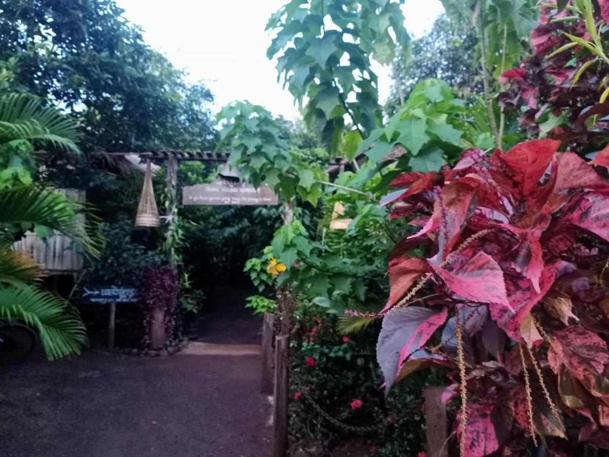 Tribal Village Homestay & Trekking รัตนคีรี ภายนอก รูปภาพ