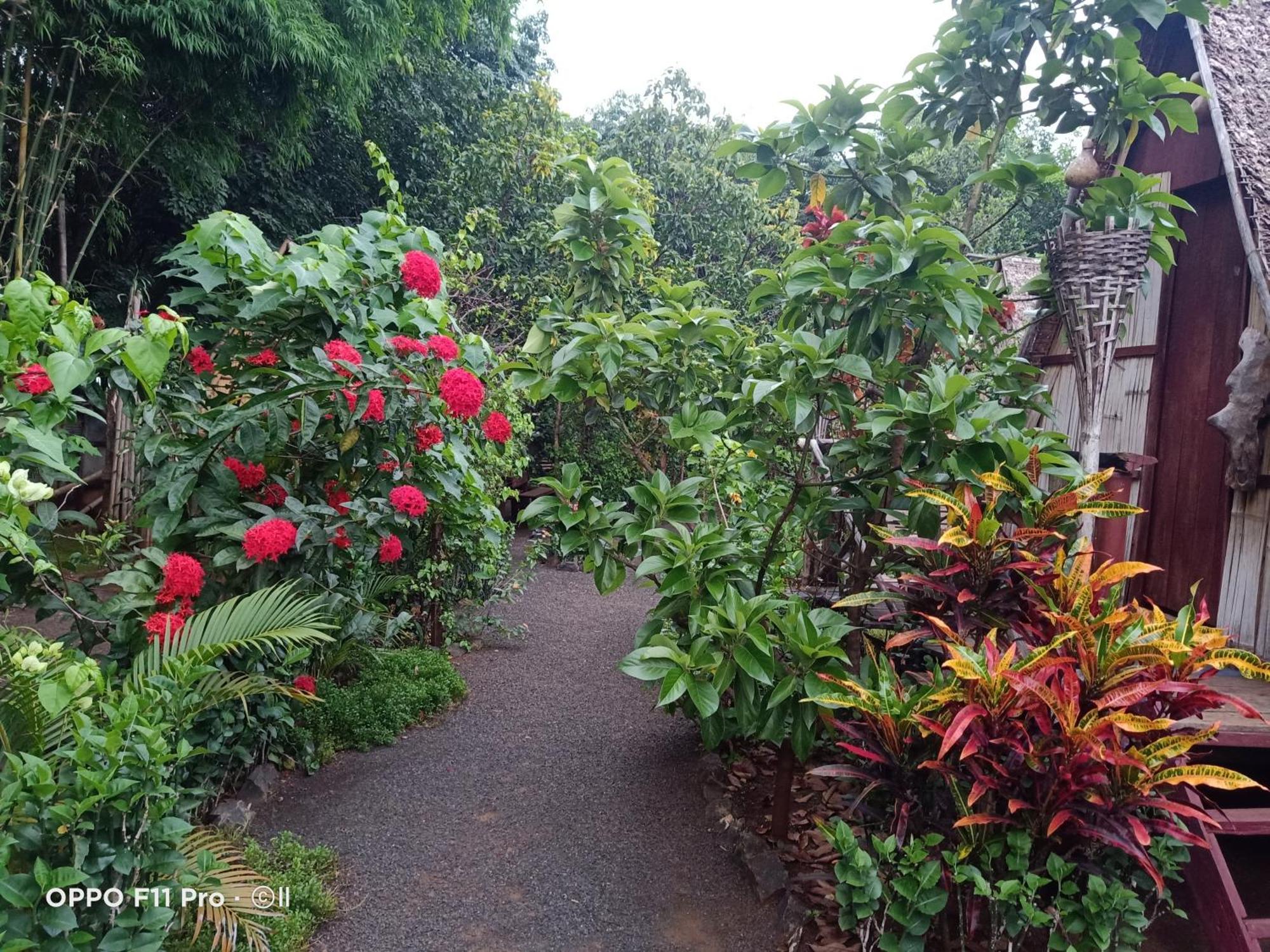 Tribal Village Homestay & Trekking รัตนคีรี ภายนอก รูปภาพ