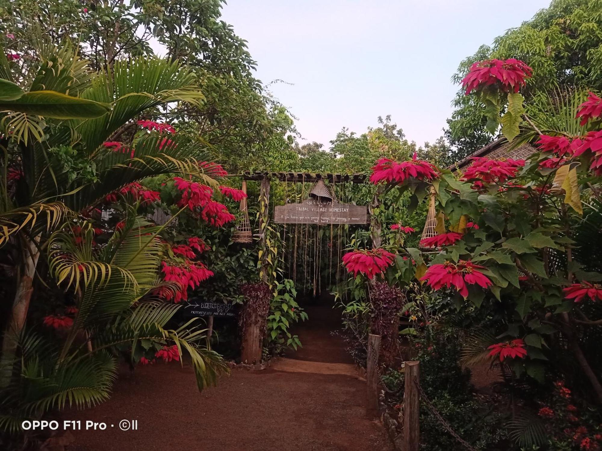 Tribal Village Homestay & Trekking รัตนคีรี ห้อง รูปภาพ
