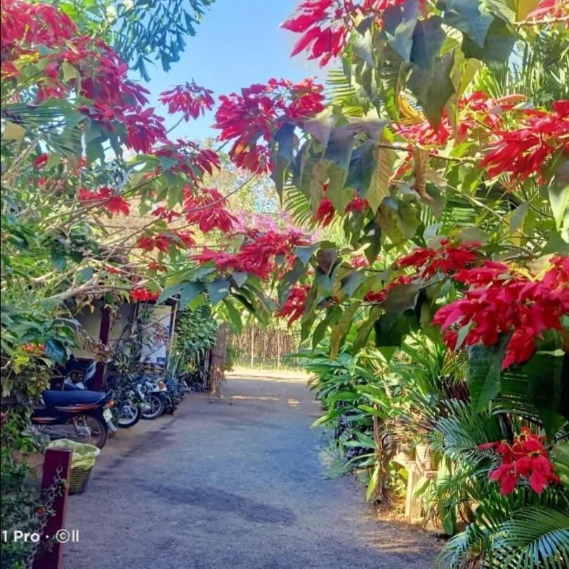 Tribal Village Homestay & Trekking รัตนคีรี ภายนอก รูปภาพ