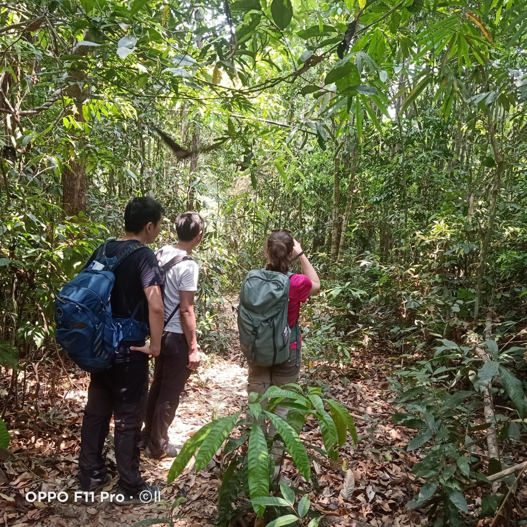 Tribal Village Homestay & Trekking รัตนคีรี ภายนอก รูปภาพ